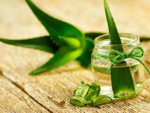 Recettes de médecine traditionnelle pour le traitement des varices